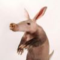 Aardvark and Zebra by Scot Walker
