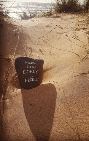 HERE LIES DOBBY, A FREE ELF