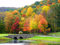 Hello Fall!