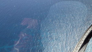 View from helicopter View from helicopter