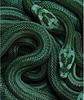serpentsealed