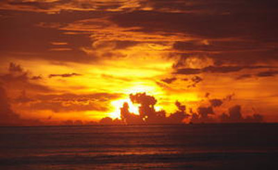 Amazing Sunset