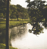 Trouble by Cole Parker