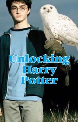 Unlocking Harry Potter by sarini